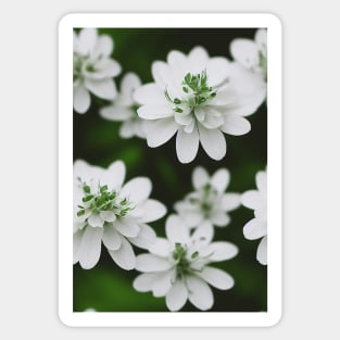 Beautiful White Flowers, for all those who love nature #137 Sticker